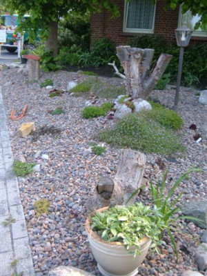 mein_garten_029.jpg
