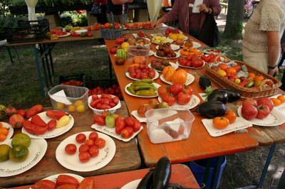 Irinas_Tomatenfest0107.jpg