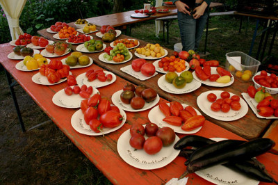 Irinas_Tomatenfest0207.jpg