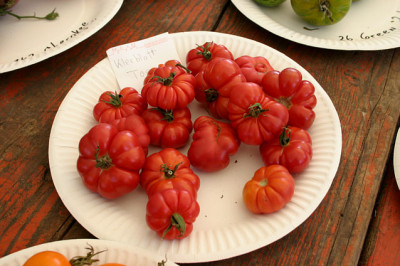 Irinas_Tomatenfest0807.jpg