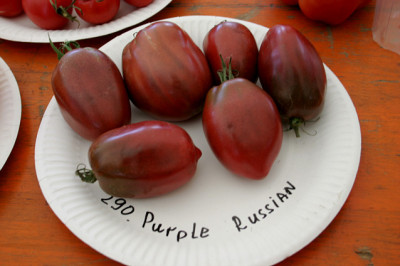 Irinas_Tomatenfest1107.jpg