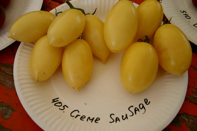 Irinas_Tomatenfest1307.jpg