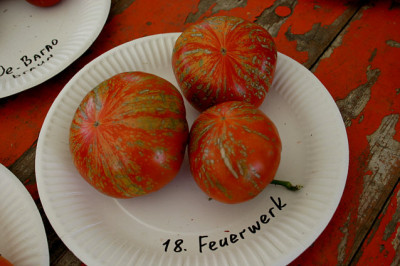 Irinas_Tomatenfest1207.jpg