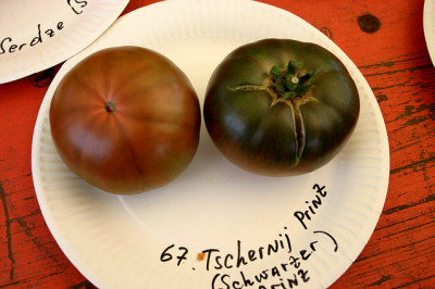 Irinas_Tomatenfest1507.jpg
