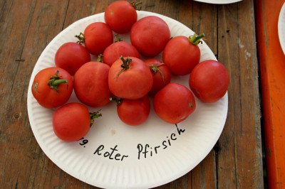Irinas_Tomatenfest1907.jpg