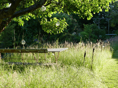 2020-05-31 Gartenimpressionen 5.jpg