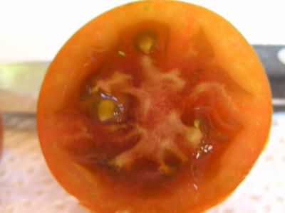 BILD0982.JPG