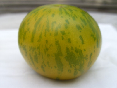 BILD0994.JPG