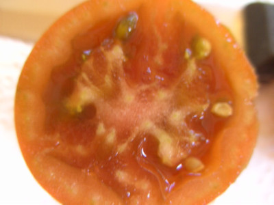 BILD0983.JPG