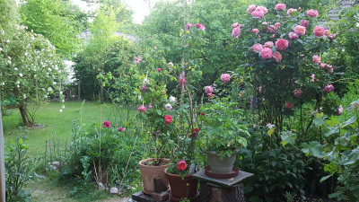 20200601_210703.jpg