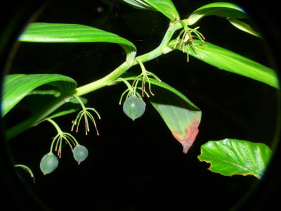 K1024_P1040797_004.JPG