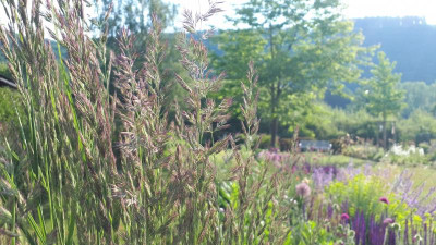 20200603_082546.jpg