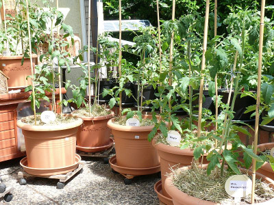 200603_Terrasse_1.jpg