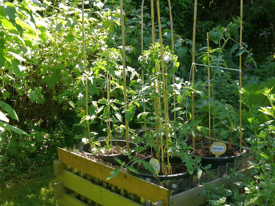 200603_Hochbeet_1.jpg