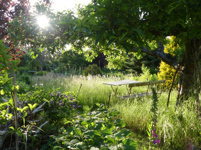 2020-06-02 Gartenimpressionen 1.jpg