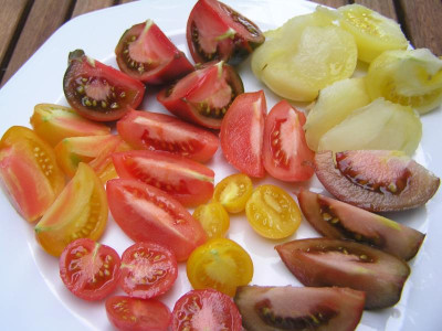 tteller2008.jpg