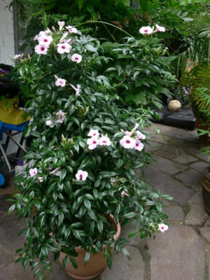 K640_P1040732_001.JPG