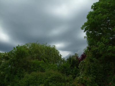 2020_0305Junianfang0182.JPG