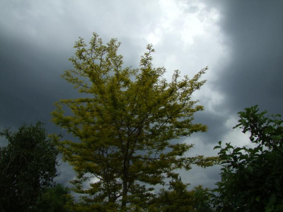 2020_0305Junianfang0238.JPG