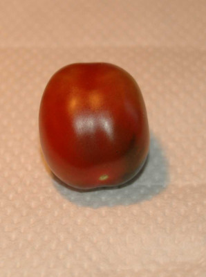 A5110a.JPG