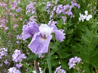 tg_200605.jpg