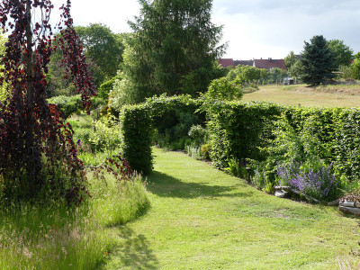 2020-06-05 Garteneinblick 3.jpg