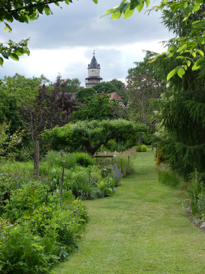 2020-06-05 Garteneinblick 7.jpg