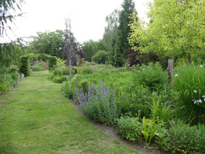 2020-06-05 Garteneinblick 13.jpg