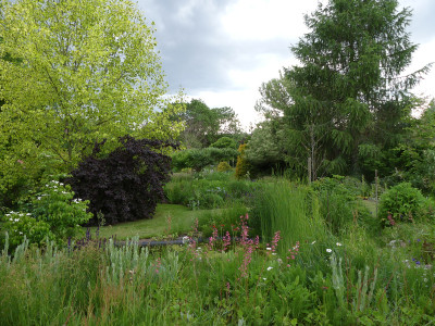 2020-06-05 Garteneinblick 15.jpg