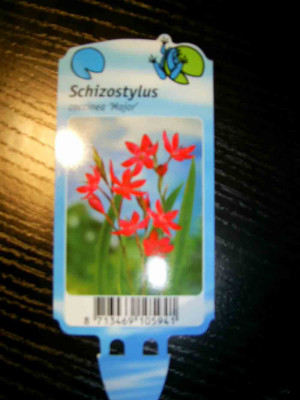 sticker001.jpg