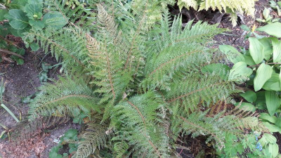 20200518_100537.jpg
