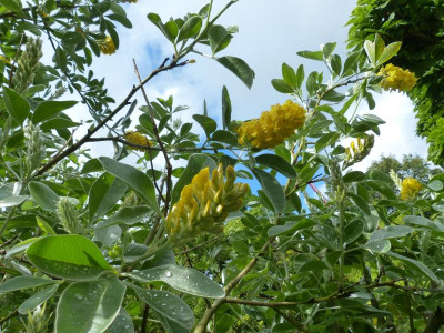P1020929.JPG