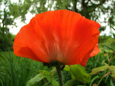 2020_0308JunianfangIrisRosen0117.JPG