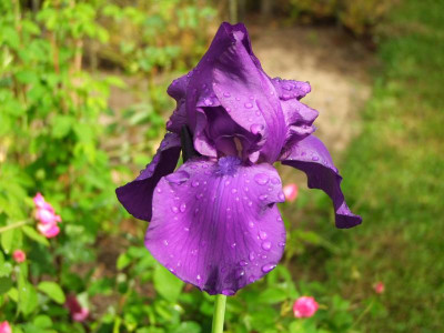 2020_0308JunianfangIrisRosen0038.JPG