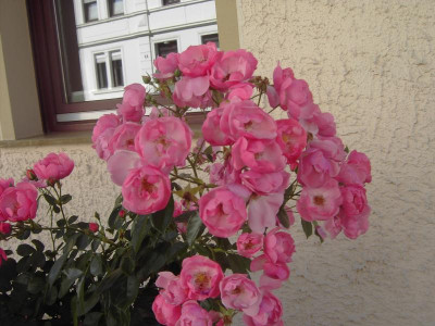 PICT2968.JPG