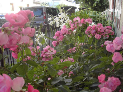 PICT2960.JPG