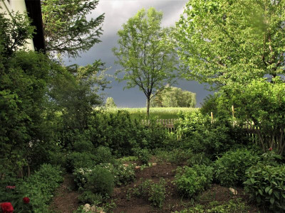 gemuesegewitter2img.JPG