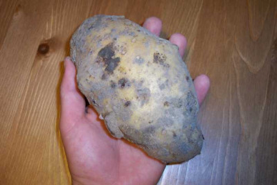 K640_100_4148.JPG