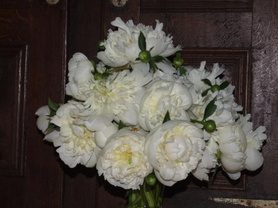 DSCF3123.JPG