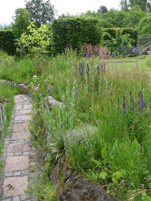 2020-06-08 Garteneinblick 1.jpg