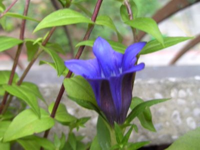 BILD1003.JPG