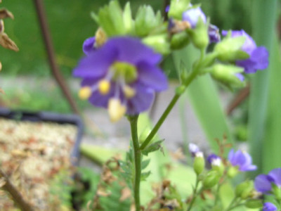 BILD1008.JPG