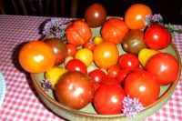 tomaten_und_groente_209.jpg
