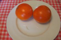 tomaten_und_groente_203.jpg