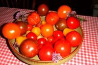 tomaten_und_groente_210.jpg