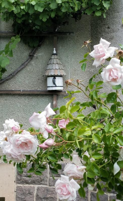 2020-06-11 11.13.44.jpg