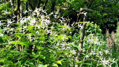 2020-06-11 11.19.03.jpg