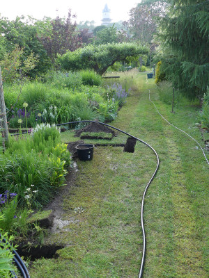 2020-06-11 Garteneinblick 1.jpg