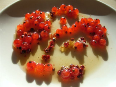 caramelisierter_Pfeffer_mit_Johannisbeeren.JPG