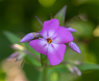 20200612_1.jpg